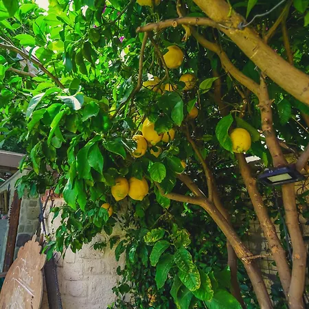 Ruezgarguelue Szálloda