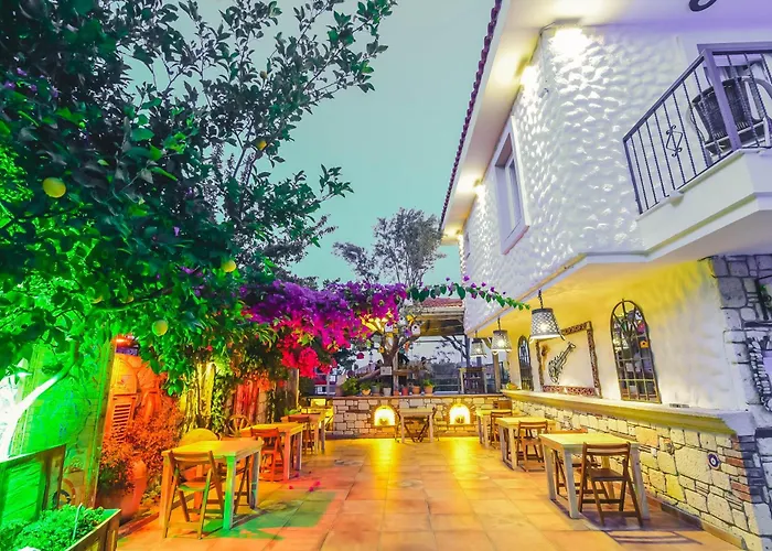 Otel Rüzgargülü *