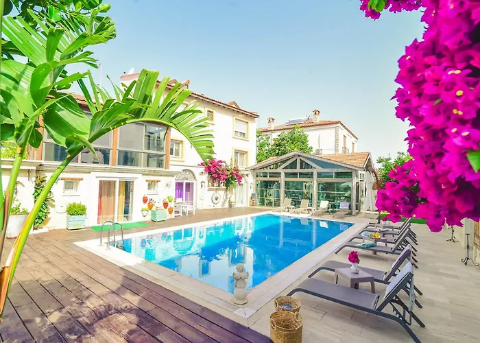 Otel Rüzgargülü