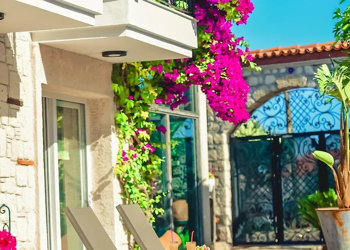 Otel Rüzgargülü *
